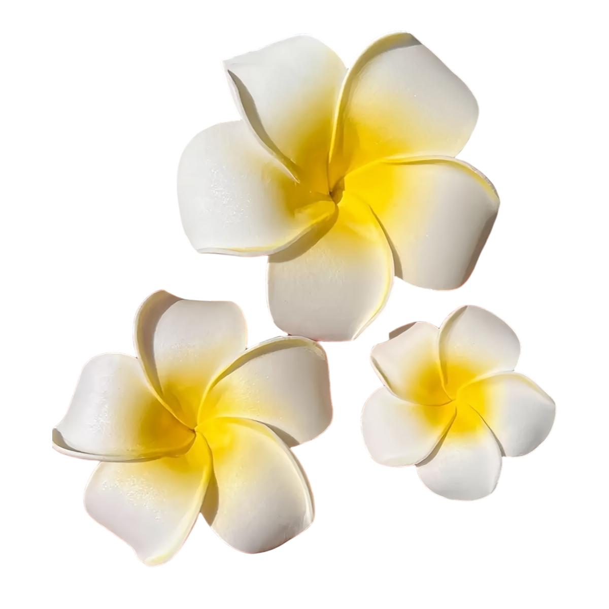 3-piece boho tropical flower hair clip set with white and yellow faux plumeria design